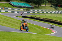 Lower Group Orange Bikes